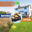 Lawn Aerator Shoes with Spring Base & Spikes: Adjustable Strap, Double-Layer Design for Healthy Lawns in Australian Gardens