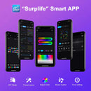 Bluetooth Colorful G40 Led Bulb String Lights