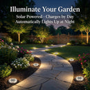 30pcs Solar Ground Lights IP68 Waterproof Warm Light High Brightness Auto On/Off Long Lasting