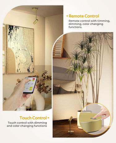 Picture Light for Wall, Battery Operated Art Light for Paintings CCT Dimmable Recharging Gallery Battery Wall Light with Remote Control for Living Room Gallery Dartboard Art Bathroom