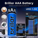 24 Pcs of AAA Platinum Alkaline Batteries
