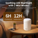 Livingtoday Mini LED Ultrasonic Humidifier 300ml