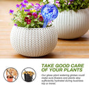 4 pcs Self-Watering Glass Plant Watering Balls