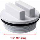 Winterizing Plug And Pool Filter Sp1022C With O-Ring For Winterizing Pools During The Winter Season And For Most