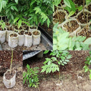 500 pcs Non-Woven Plant Bags, Biodegradable Non-Woven Fabric Plant Bags Seedling Grow Bags For Tomatoes, Flowers,