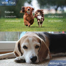 Dog Toys, ROpe Dog Toys, Chew Toys, Interactive Dog Toys, For Small/Medium Dogs (4 Pieces)