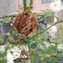 Plant ROoting Device Plant ROot Ball Plant ROoting Ball,Plant ROot Grafting Box For ROses,Trees,Fruit Shrubs