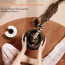 Magic Organ Interactive Scratching Toy - The Ultimate Interactive Mental And Physical Exercise For Indoor Cats