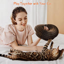 Magic Organ Interactive Scratching Toy - The Ultimate Interactive Mental And Physical Exercise For Indoor Cats