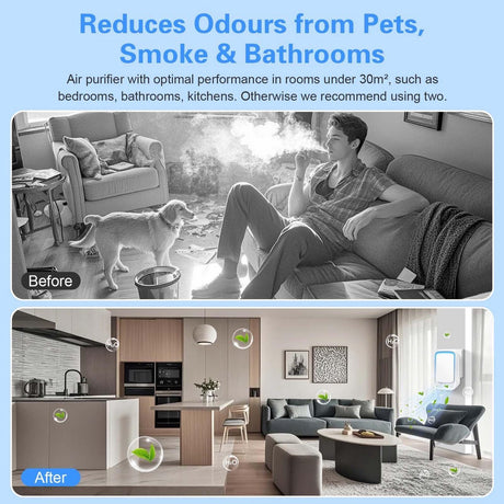 Air Purifier - Pack of 2 Plug-in Negative Ion Air Purifiers - Negative Ion Air Purifier - Home Air Purifier - Negative Ion Air Purifier - Deodorizer - Ionizer - Wit