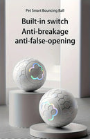 Interactive Dog Toy - Self-Rolling Dog Ball - Durable Automatic Dog Ball, Light Grey - 5.6 cm