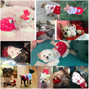 Dog Coat - Dog Sweater - Classic Turtleneck Knit Dog Sweater - Warm Winter Dog Clothes - Cute Strawberry Heart Pattern - Perfect for Small and Medium Dogs - Red - Size S