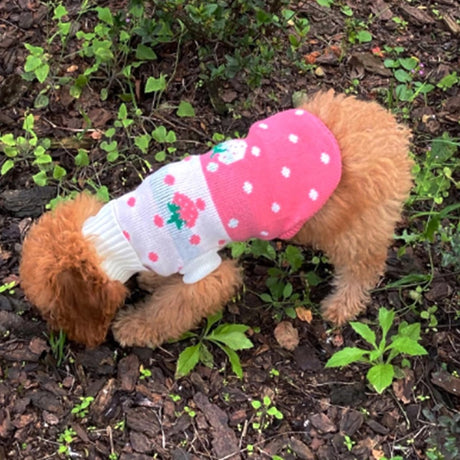 Dog Coat - Dog Sweater - Dog Pullover - Classic Turtleneck Knit Dog Sweater - Warm Winter Dog Clothes - Cute Strawberry Heart Pattern - Perfect for Small and Medium Dogs - Pink - Size S