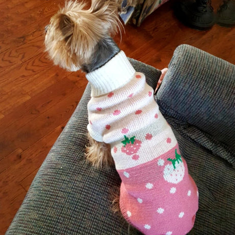 Dog Coat - Dog Sweater - Classic Turtleneck Knit Dog Sweater - Warm Winter Dog Clothes - Cute Strawberry Heart Pattern - Perfect for Small and Medium Dogs - Pink - Size XL