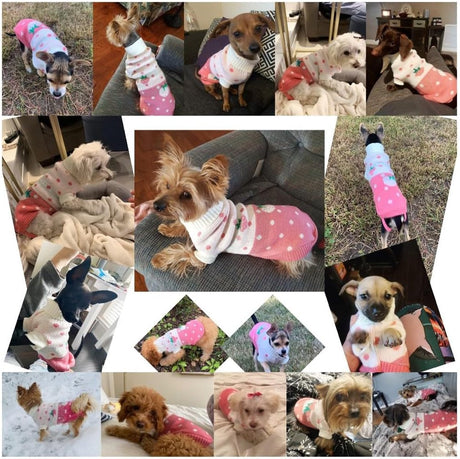 Dog Coat - Dog Sweater - Classic Turtleneck Knit Dog Sweater - Warm Winter Dog Clothes - Cute Strawberry Heart Pattern - Perfect for Small and Medium Dogs - Pink - Size XL