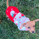 Dog Coat - Dog Sweater - Classic Turtleneck Knit Dog Sweater - Warm Winter Dog Clothes - Cute Strawberry Heart Pattern - Perfect for Small and Medium Dogs - Red - Size L