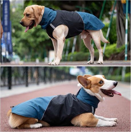 Dog Raincoat - Dog Jacket - Waterproof Winter Dog Jackets - Windproof Dog Jacket - Winter Dog Jacket - Reflective Strip - Perfect for Small Dogs - Medium-Sized Dogs - Blue and Black - Size M