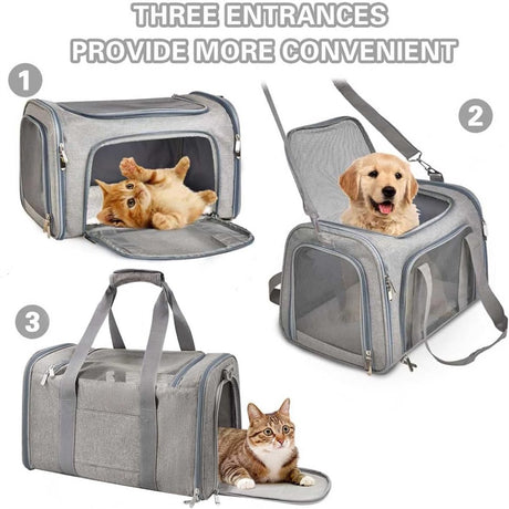 Bicycle panniers - Dog carrier bag for airplanes - Carrier bag for small dogs - Size L - Cat basket, dog basket, portable pet basket with soft sides - Foldable for puppy/rabbit travel