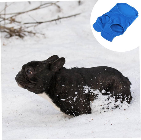 Dog Coat - Fleece Vest - Dog Sweater - Warm Winter Coat - Pull-On Fleece Coat - Leash with Ring - Perfect for Small and Medium Dogs - Blue - Size XL