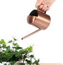 Small 300ml stainless steel watering can with long spout - ideal for flowers and household use