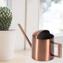 Small 300ml stainless steel watering can with long spout - ideal for flowers and household use
