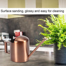 Small 300ml stainless steel watering can with long spout - ideal for flowers and household use