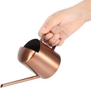 Small 300ml stainless steel watering can with long spout - ideal for flowers and household use