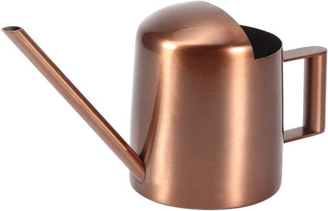 Small 300ml stainless steel watering can with long spout - ideal for flowers and household use