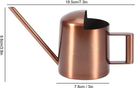 Small 300ml stainless steel watering can with long spout - ideal for flowers and household use