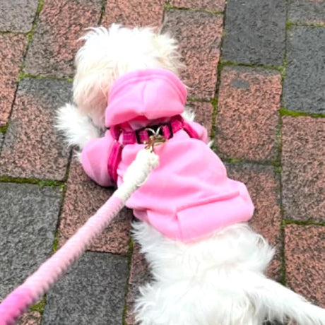 Dog Coat - Winter Hoodie - Warm Dog Coat - With Pockets - Sweatshirt - Warm Clothing - Chihuahua Dog Coat - Perfect for Small Dogs - Pink - Size M