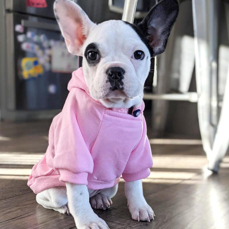 Dog Coat - Winter Hoodie - Warm Dog Coat - With Pockets - Sweatshirt - Warm Clothing - Chihuahua Dog Coat - Perfect for Small Dogs - Pink - Size M