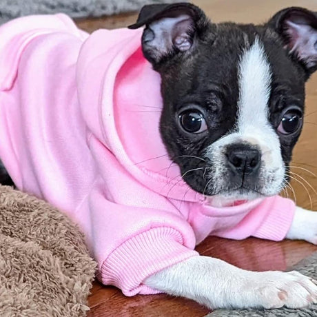 Dog Coat - Winter Hoodie - Warm Dog Coat - With Pockets - Sweatshirt - Warm Clothing - Chihuahua Dog Coat - Perfect for Small Dogs - Pink - Size M