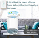 Dehumidifier - Air Dehumidifier - Small Dehumidifier - Smart Sleep Mode - Portable - Ultra Quiet - 3 L/h Dehumidifier - With 1 L Water Tank - Black