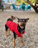 Dog Coat - Fleece Dog Vest - Winter Dog Sweater - Warm Dog Coat - Leash with O-Ring - Perfect for Small and Medium Dogs - Red - Size S