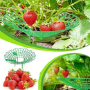 10-Pack Strawberry Holder Plant Support for Strawberries and Vegetables, 10.2 Inches