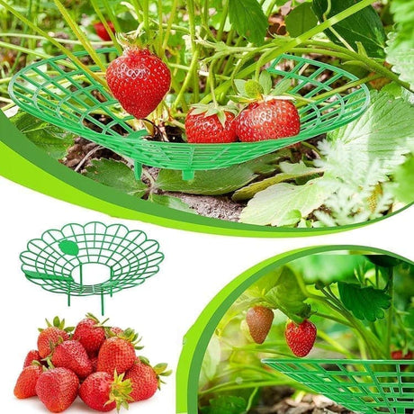 10-Pack Strawberry Holder Plant Support for Strawberries and Vegetables, 10.2 Inches