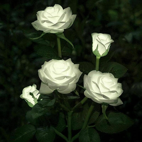 Solar Rose Flower Lights for Outdoor Garden Decor, White