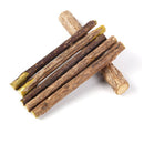 10 Pack Matatabi Sticks for Cats, Natural Dried Catnip Chew Toy