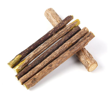 10 Pack Matatabi Sticks for Cats, Natural Dried Catnip Chew Toy