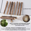 10 Pack Matatabi Sticks for Cats, Natural Dried Catnip Chew Toy