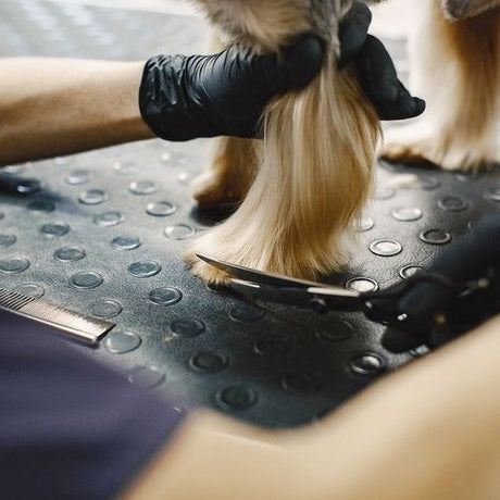 Dog Grooming Scissors Trimmer Kit