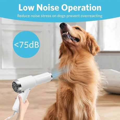 2-in-1 Pet Hair Dryer with Straightening Brush Adjustable Temperature for Small Animals
