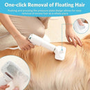 2-in-1 Pet Hair Dryer with Straightening Brush Adjustable Temperature for Small Animals