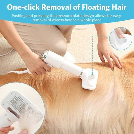 2-in-1 Pet Hair Dryer with Straightening Brush Adjustable Temperature for Small Animals