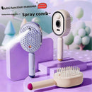 Electric Spray Hair Brush with Essential Oil Diffuser Scalp Massager Antistatic Purple