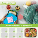 Mini Food Storage Containers - Stainless Steel Snack Box - To Go Set of 6 Dressing Jars 50ml - Sustainable Snack Boxes - Freezer Containers - Lunchbox Seal Cup - Silicone Storage Containers with Lids - Dressing Container - BPA Free - Leakproof - For Snack