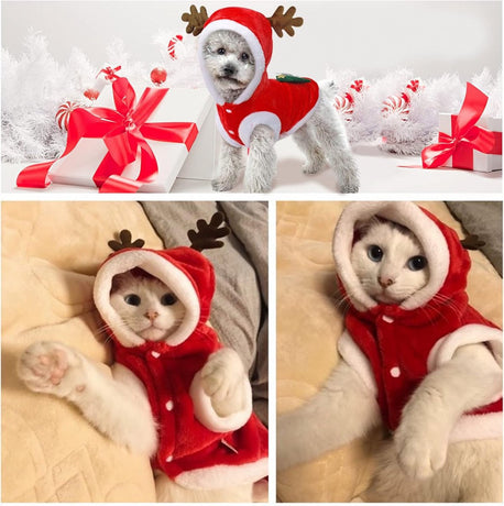 Dog Christmas Costume - Dog Christmas Costume - Hooded Dog Christmas Suit - Christmas Costume for Cats - Christmas Suit for Dogs and Cats - Size XS - Christmas Clothing for Dog or Cat - Dog Fancy Dress Costumes - Dog Clothing - Christmas Costume for Pets