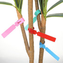 120 Plant Labels - Plastic Tree Labels - 21 x 2 cm - Plant Labels - Garden - Hanging Plant Labels - Five Colors - Suitable for Flower Gardens - Vegetable Gardens - Herb Gardens