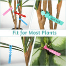 120 Plant Labels - Plastic Tree Labels - 21 x 2 cm - Plant Labels - Garden - Hanging Plant Labels - Five Colors - Suitable for Flower Gardens - Vegetable Gardens - Herb Gardens