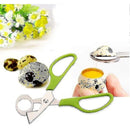 Stainless Steel Quail Egg Peeler Cutter Opener Tool, 10 pcs